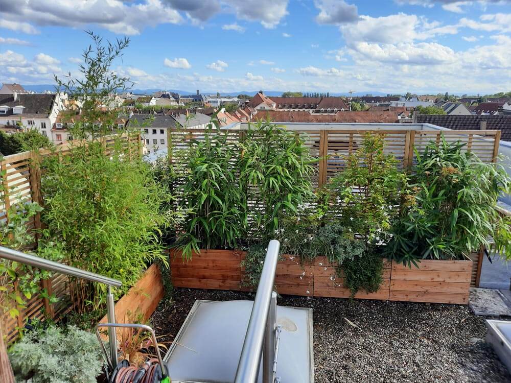 Aménagement de treillis sur un Rooftop à Strasbourg